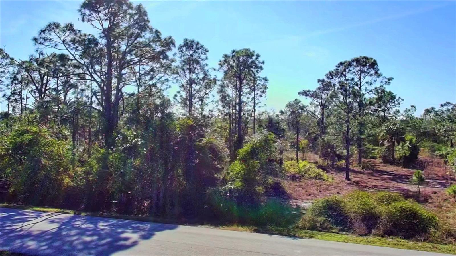 27051 Capistrano Dr Property Photo 5