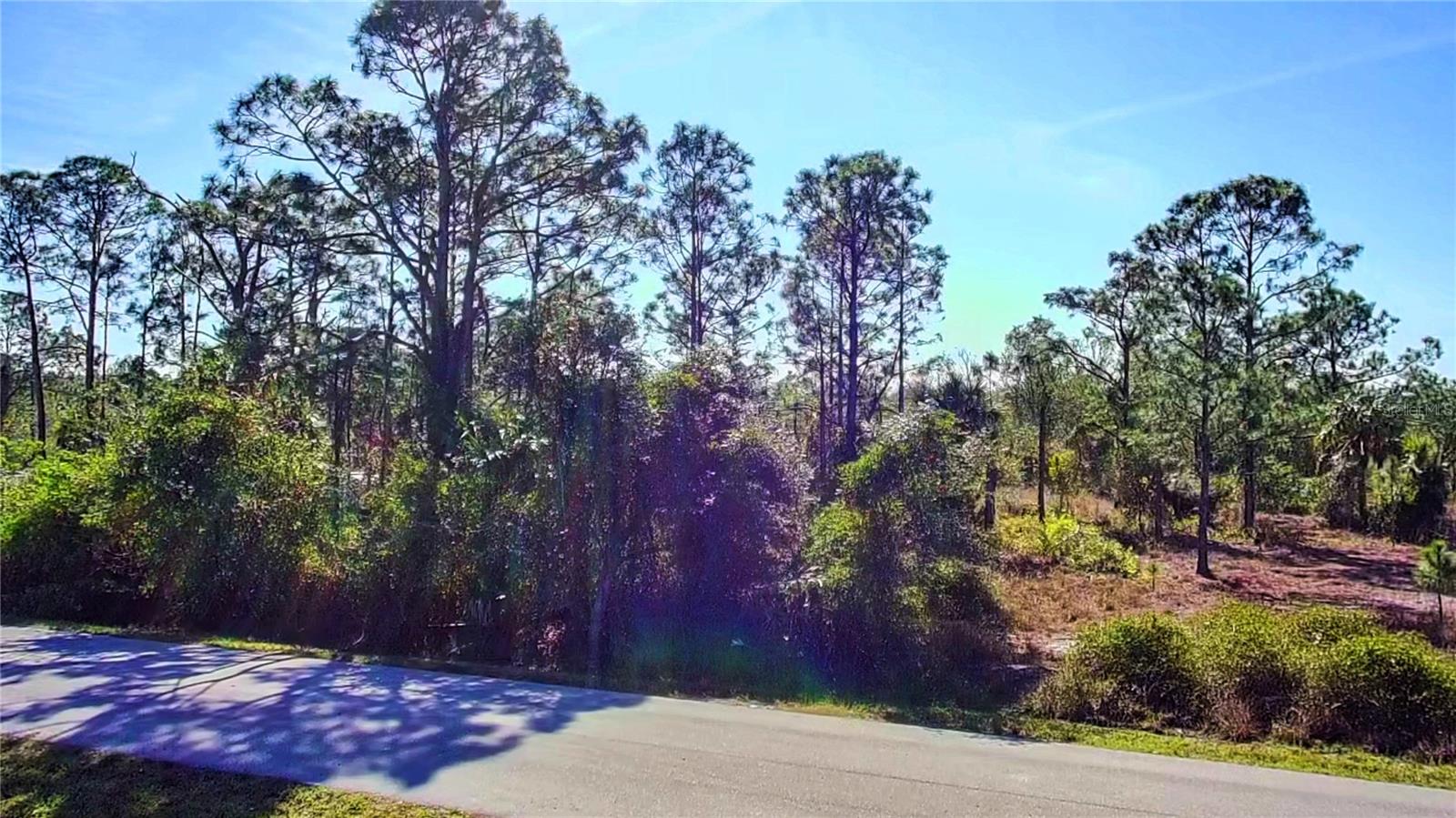 27051 Capistrano Dr Property Photo 6