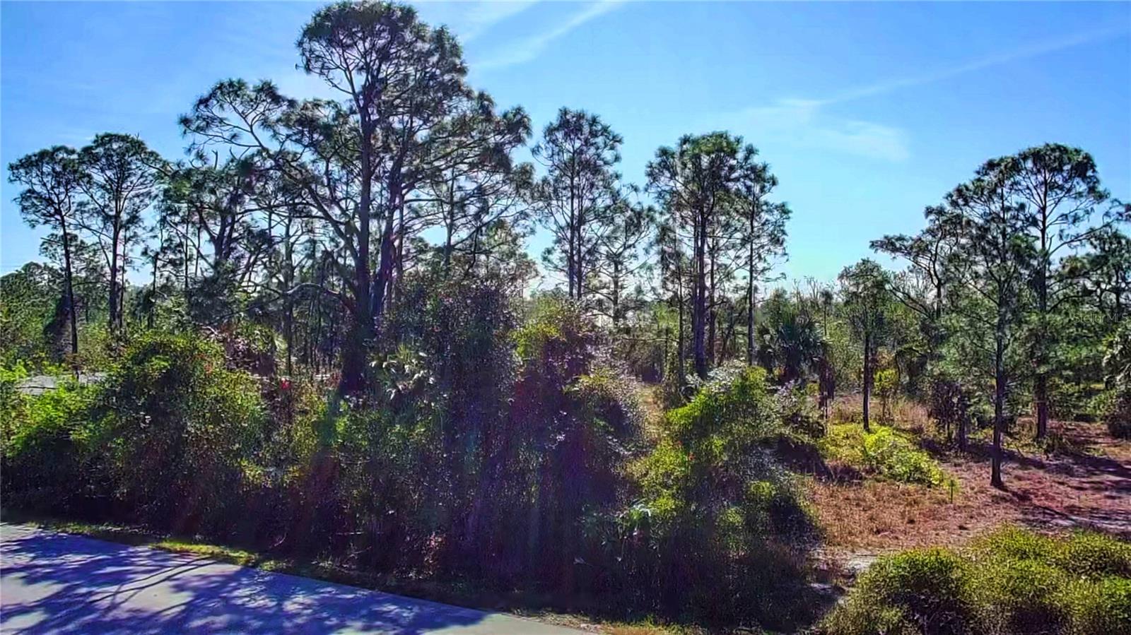 27051 Capistrano Dr Property Photo 8