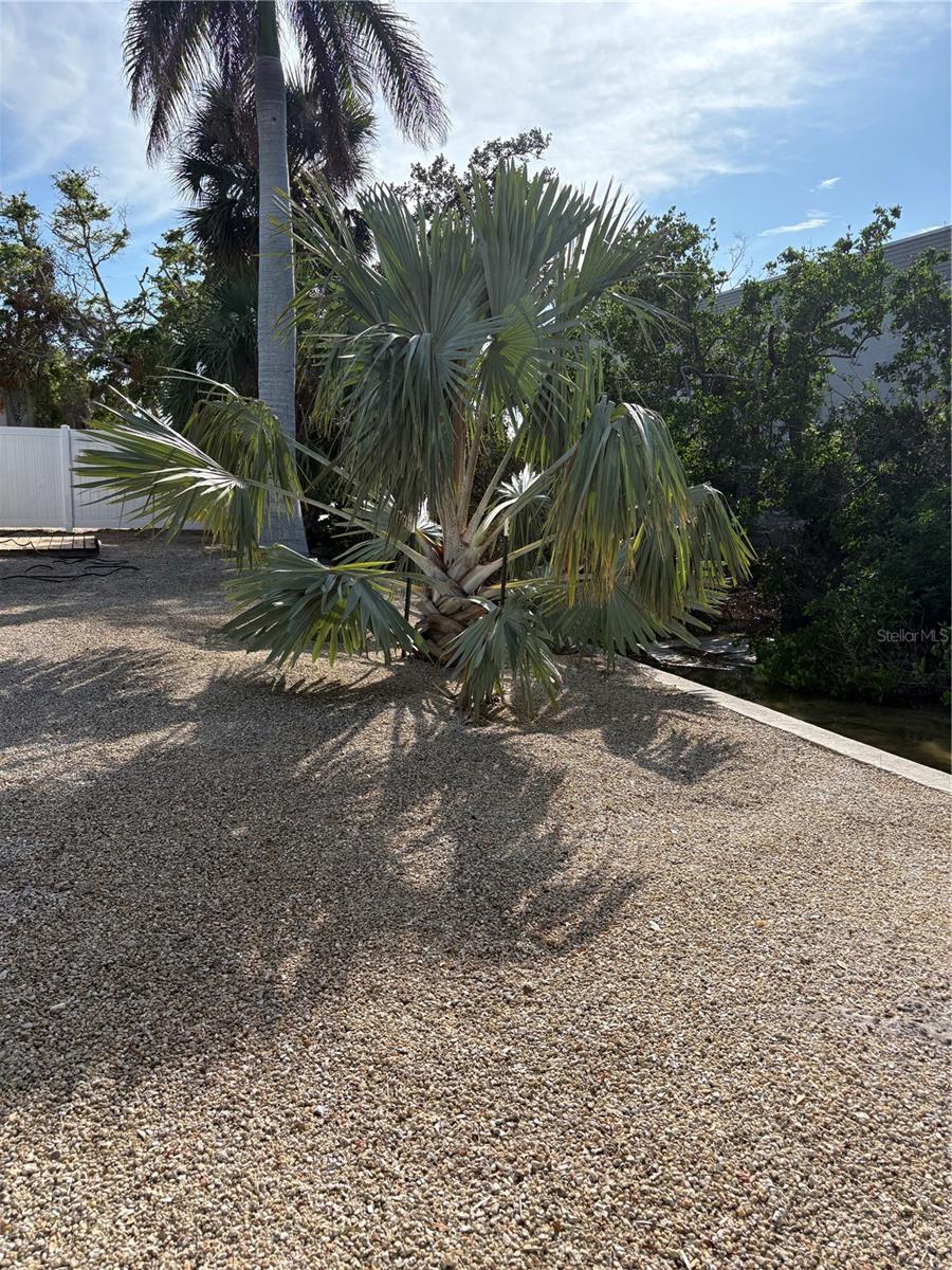 5032 Calle Minorga Property Photo 14