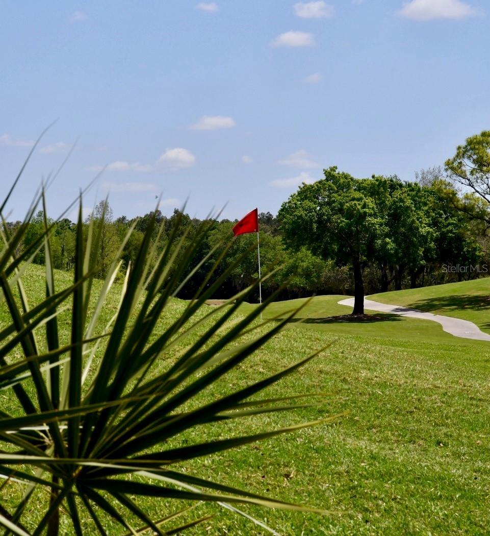 6713 Stone River Rd #206 Property Photo 52