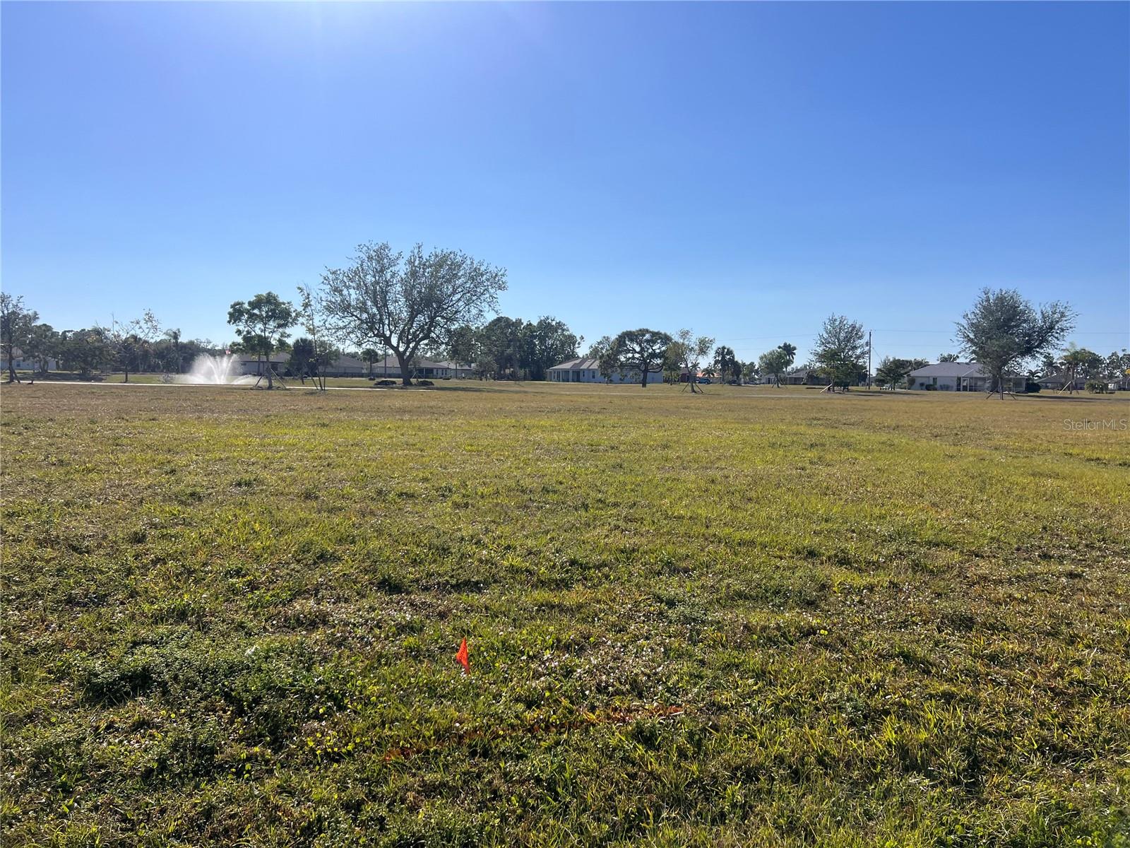 25325 Lychee Ct Property Photo 4