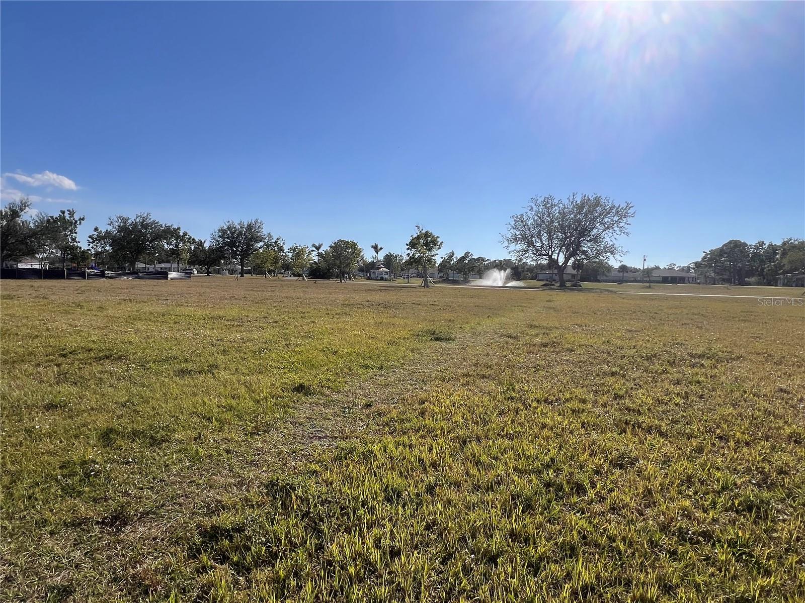 25325 Lychee Ct Property Photo 8