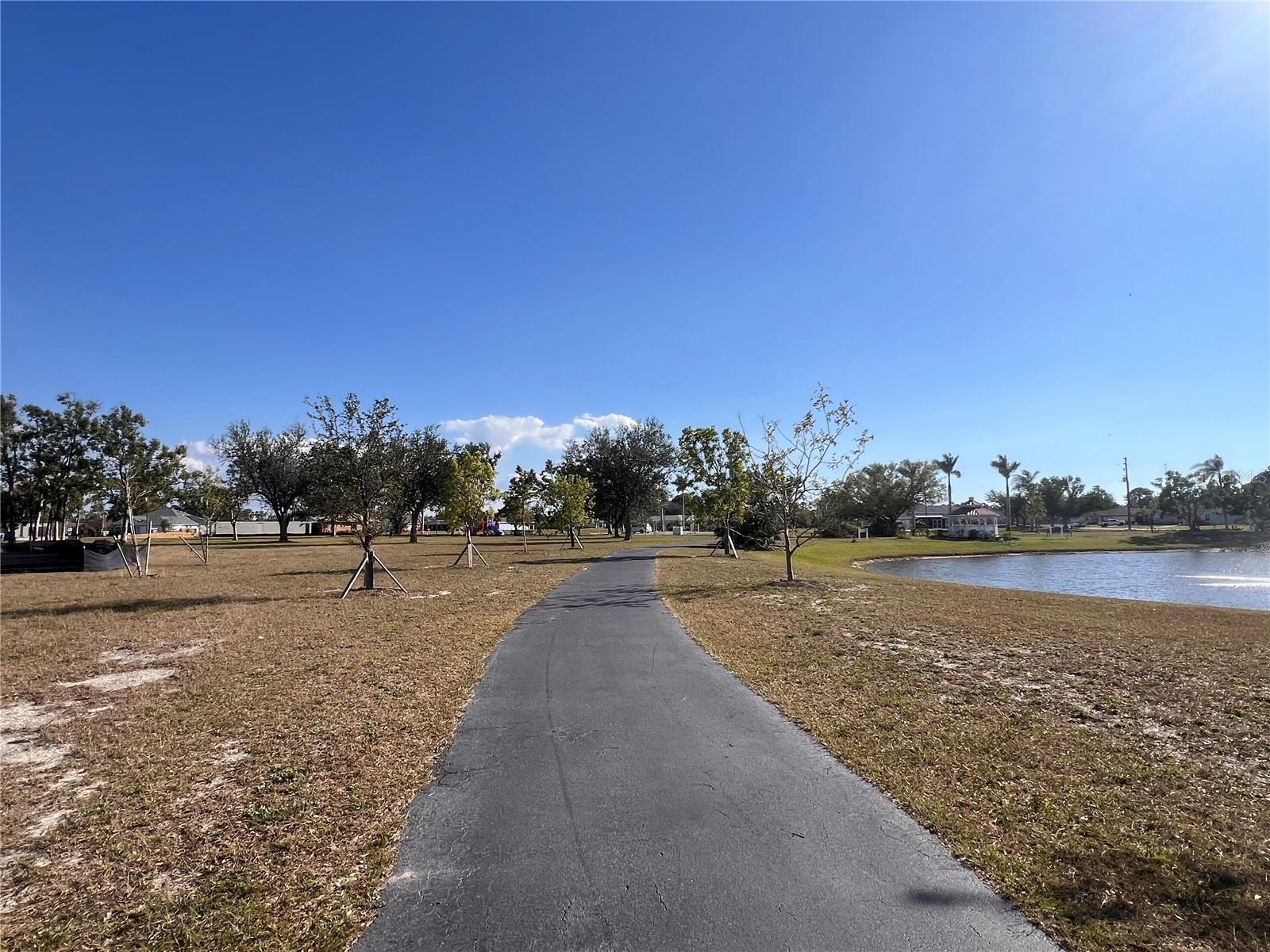 25325 Lychee Ct Property Photo 13