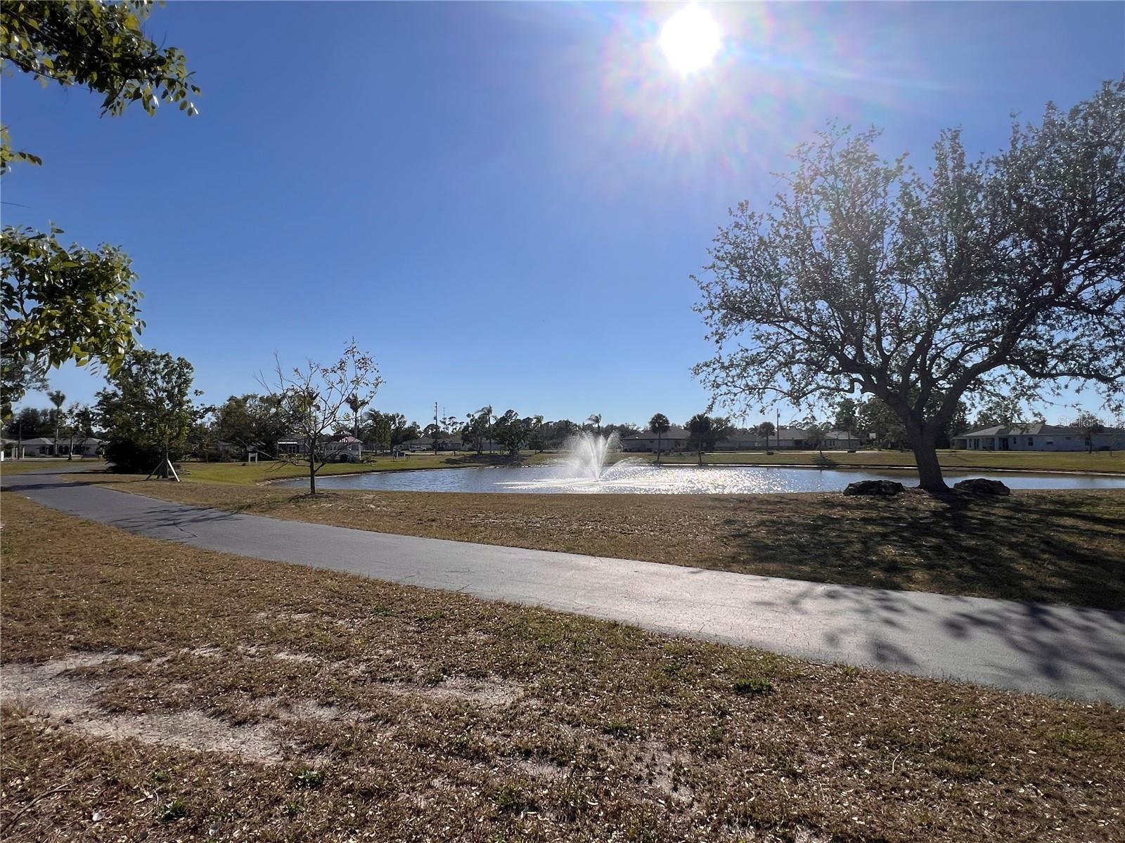 25325 Lychee Ct Property Photo 14