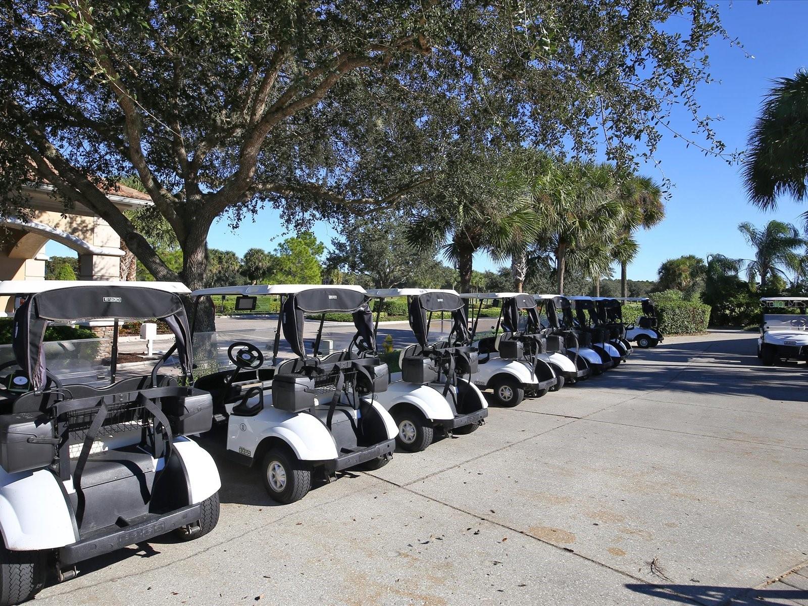 375 Fairway Isles Ln Property Photo 64