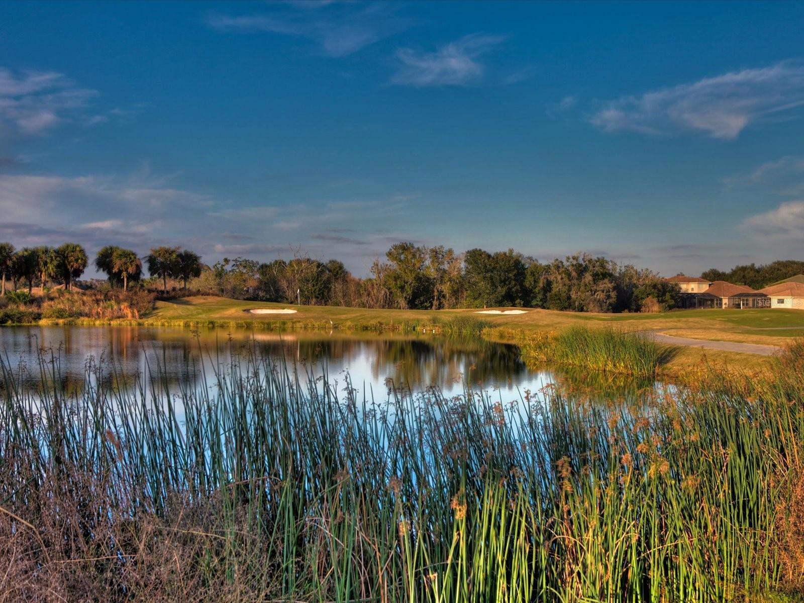 375 Fairway Isles Ln Property Photo 65