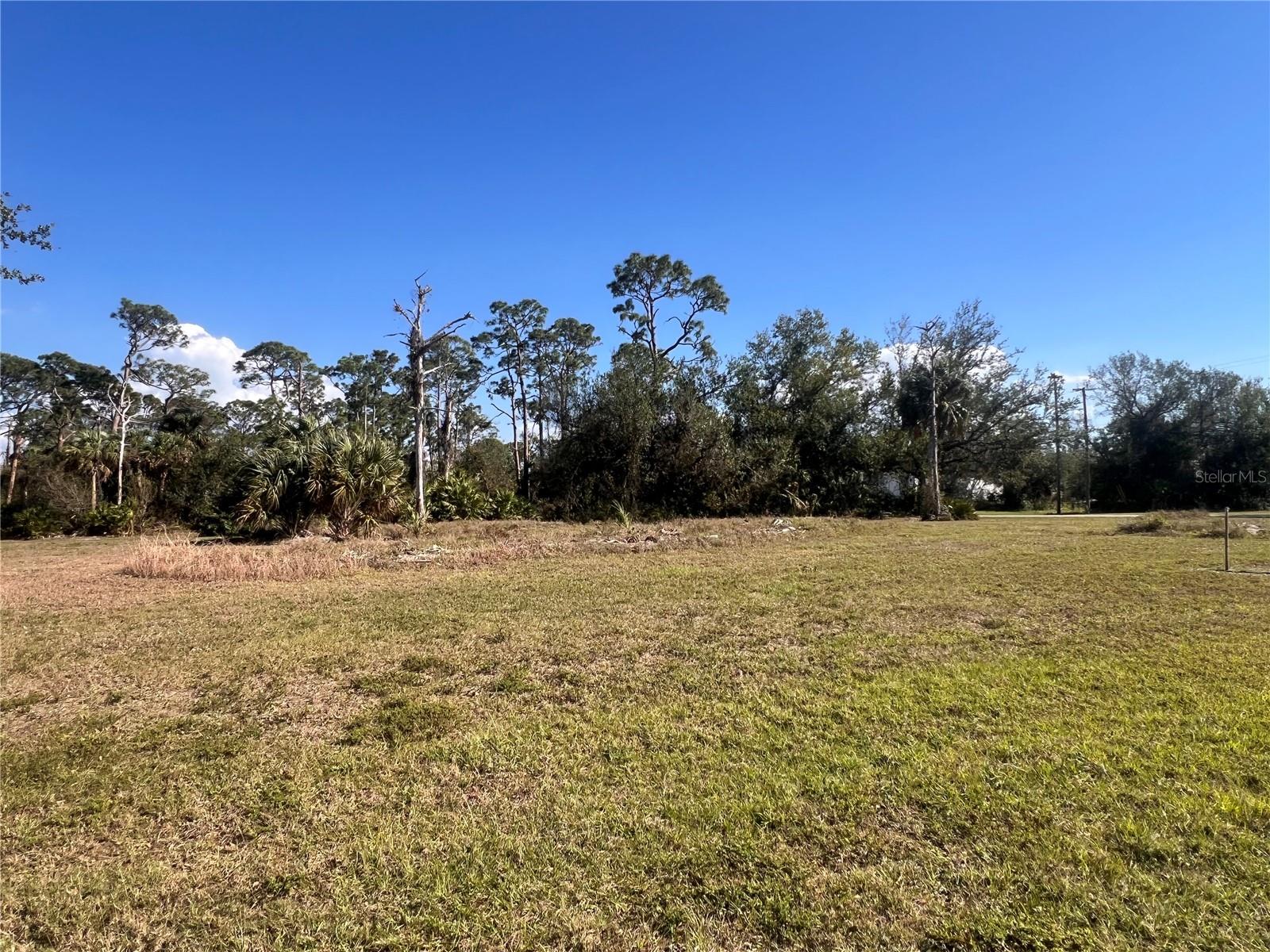 16574 CAPE HORN BLVD Property Photo 1