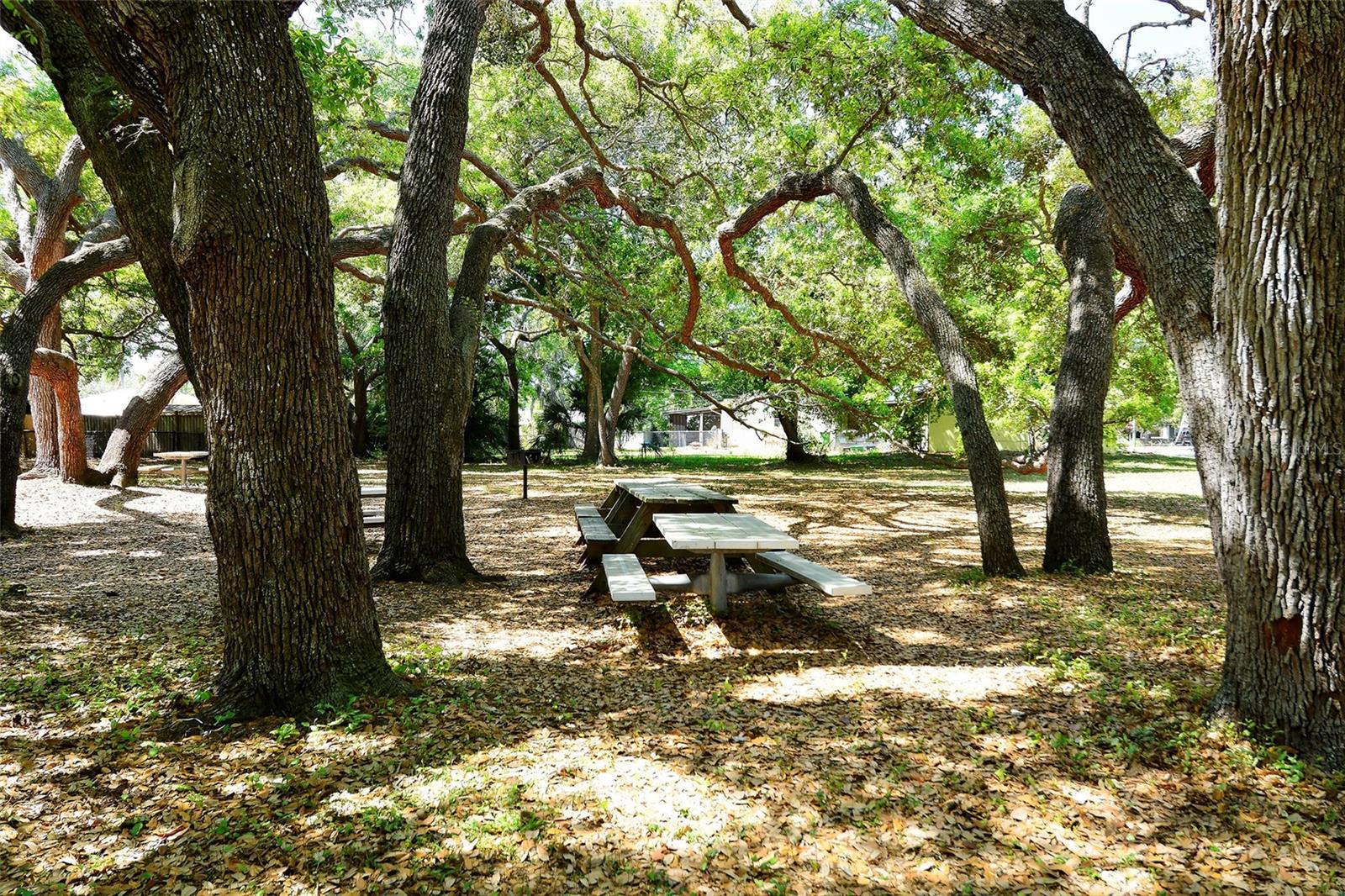 2130 Temple St Property Photo 32