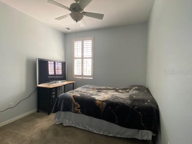 2720 Blue Cypress Lake Ct Property Photo 12