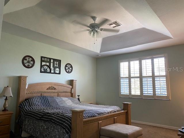 2720 Blue Cypress Lake Ct Property Photo 14