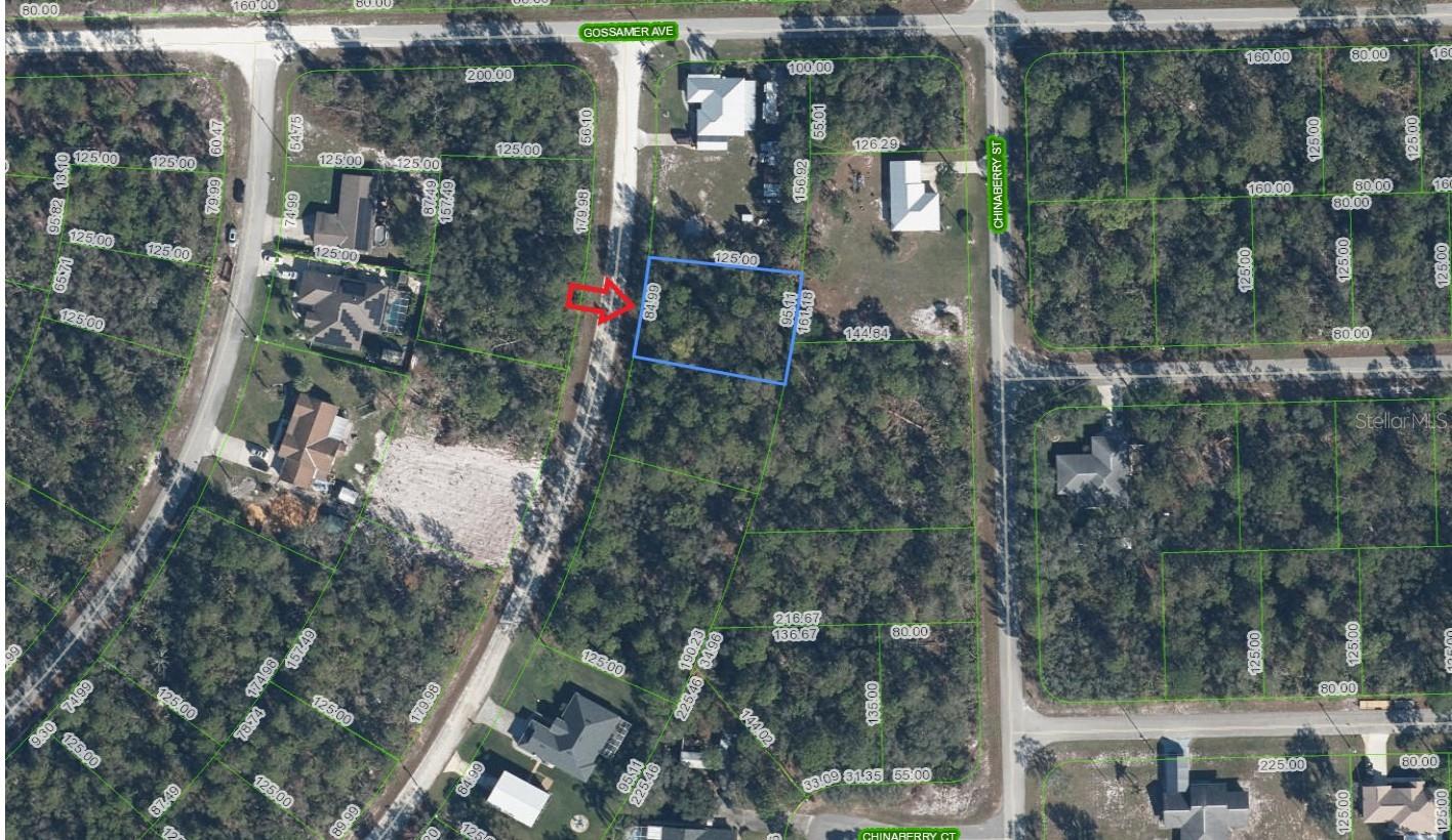 947 Cork Tree Rd Property Photo