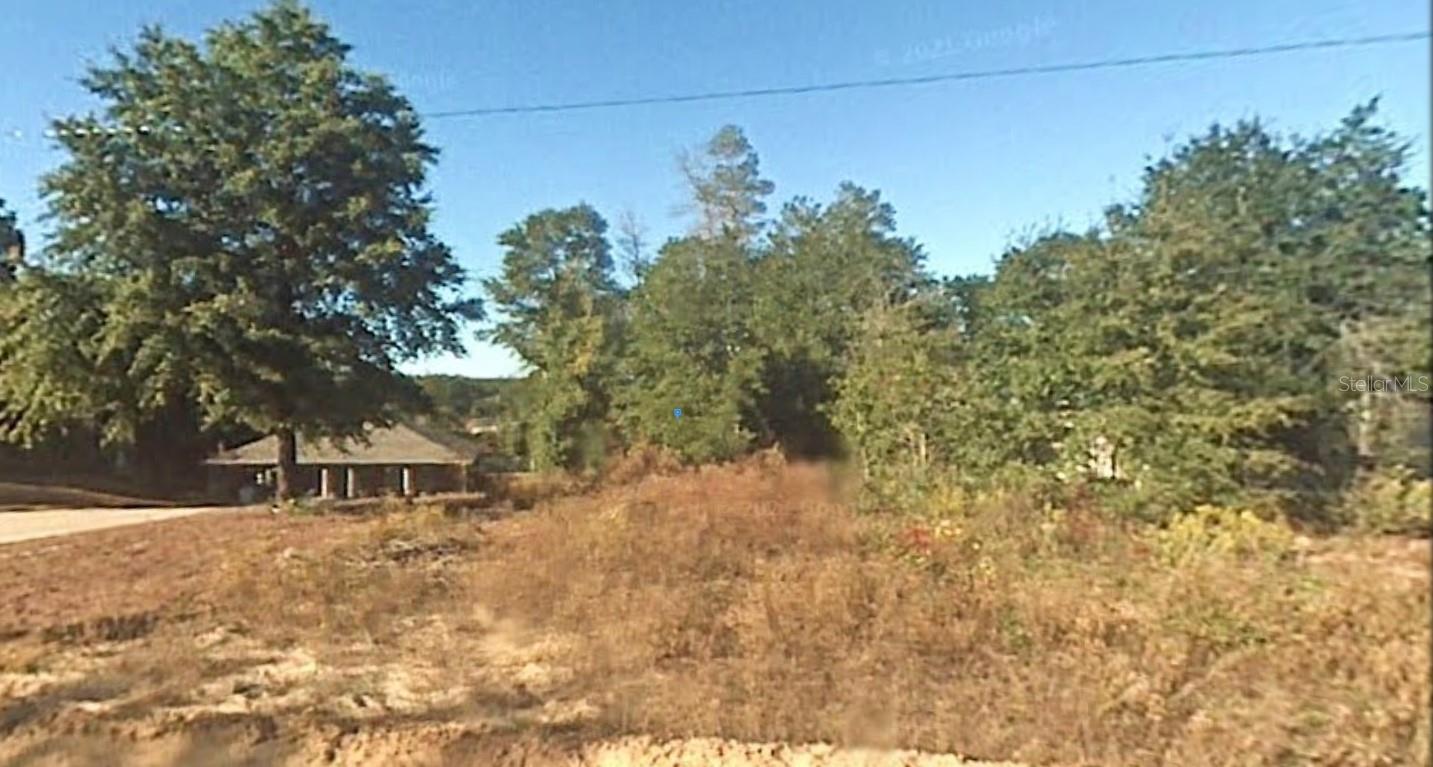 3032 Woodymarion Dr Property Photo 2