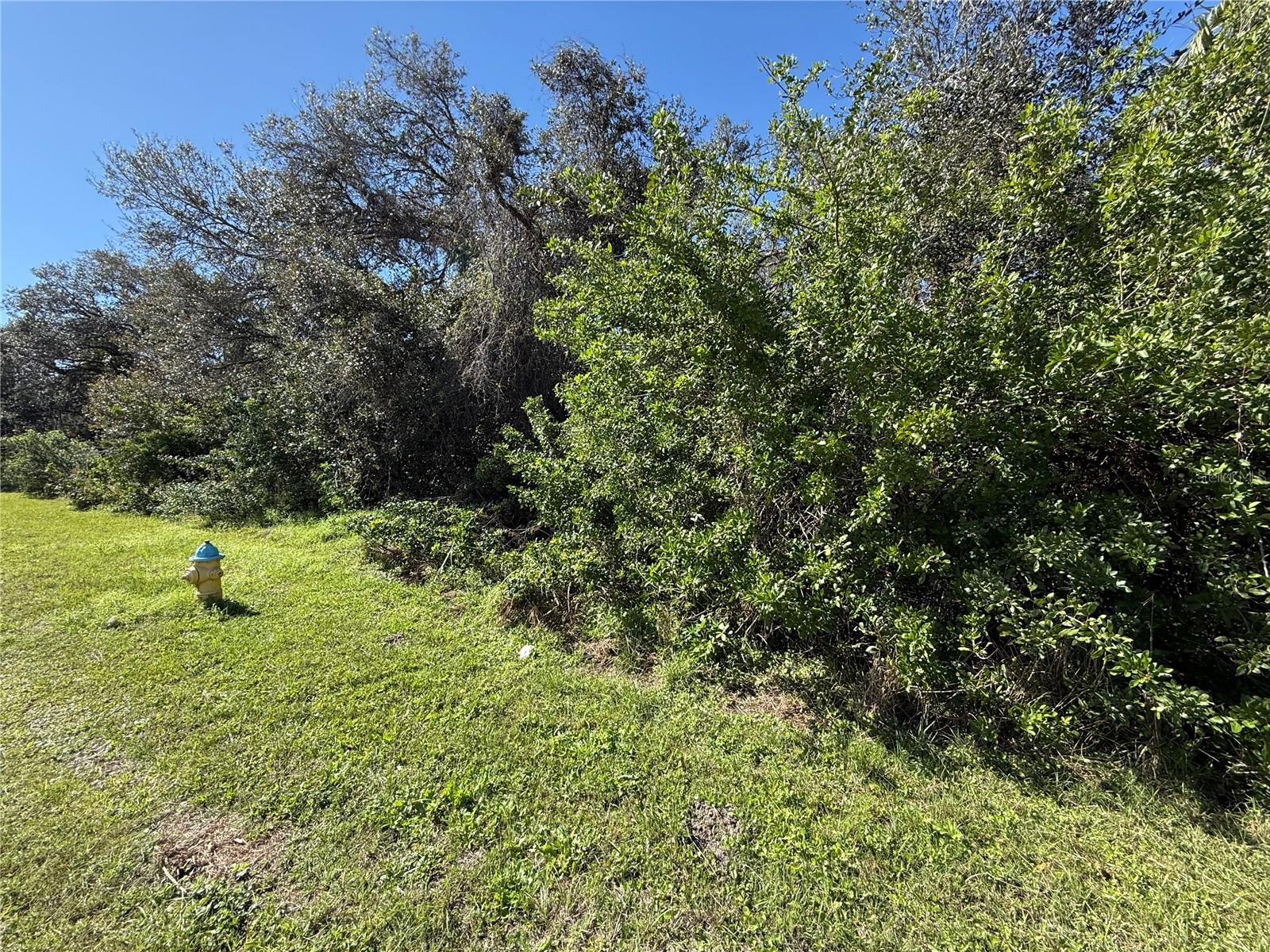 Ponce De Leon Blvd Property Photo 3