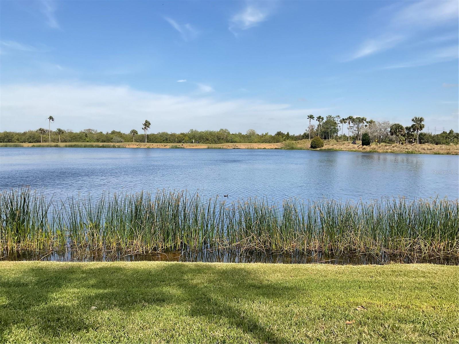 7803 Grand Estuary Trl #107 Property Photo