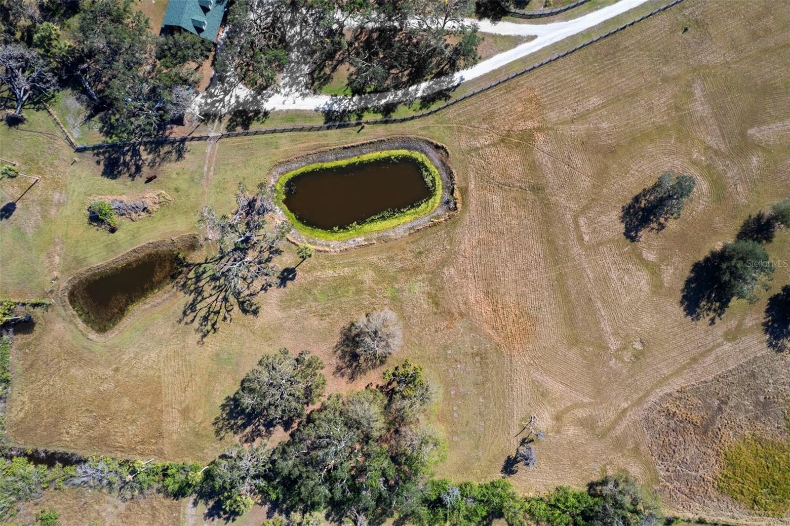 7000 Us-19 Property Photo