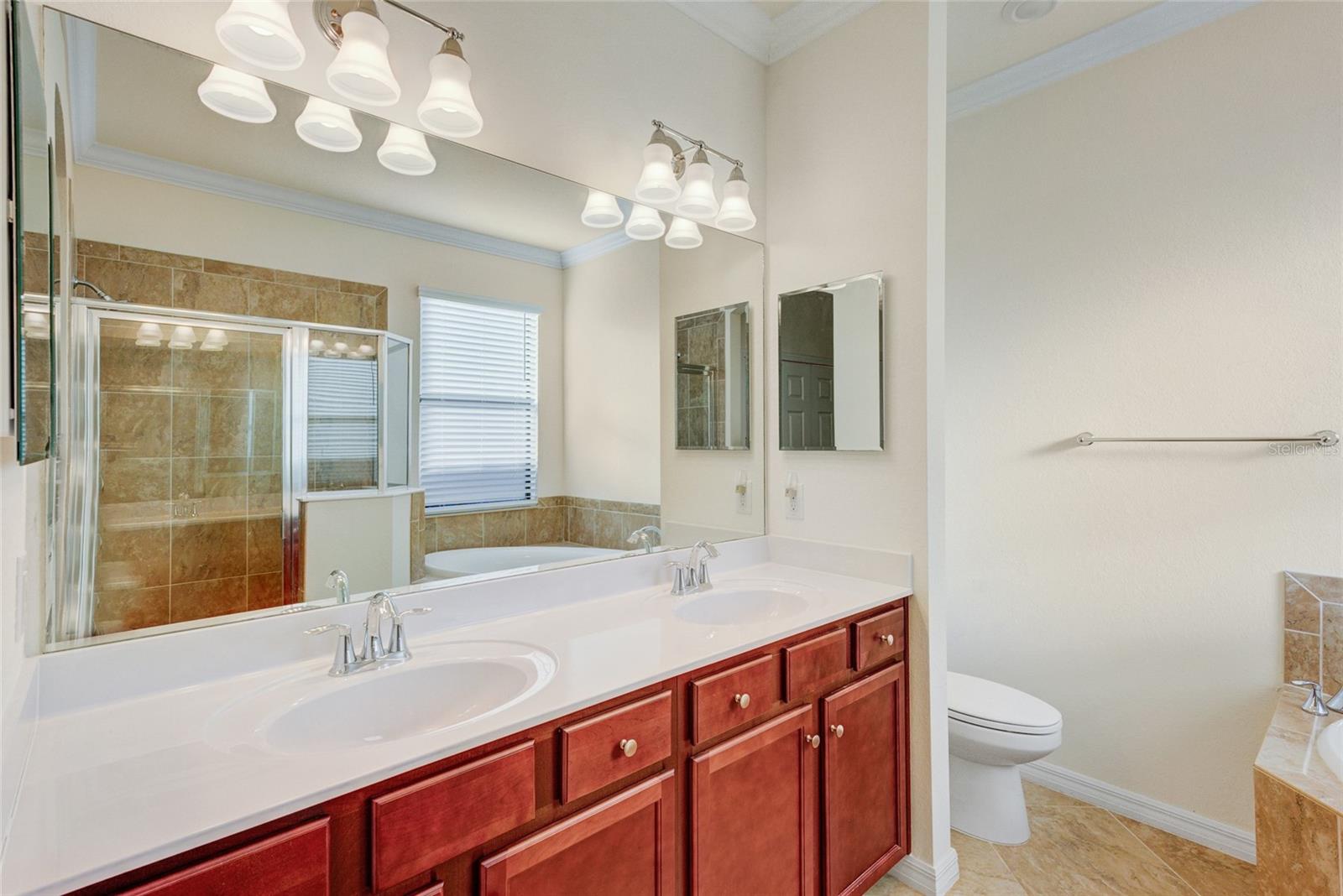 12091 Amica Loop Property Photo 22