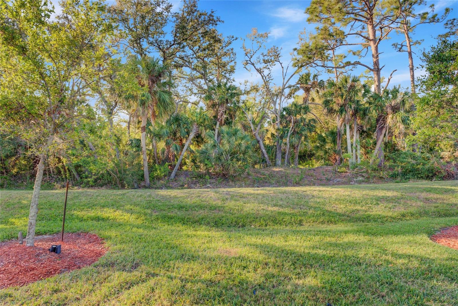 12091 Amica Loop Property Photo 34