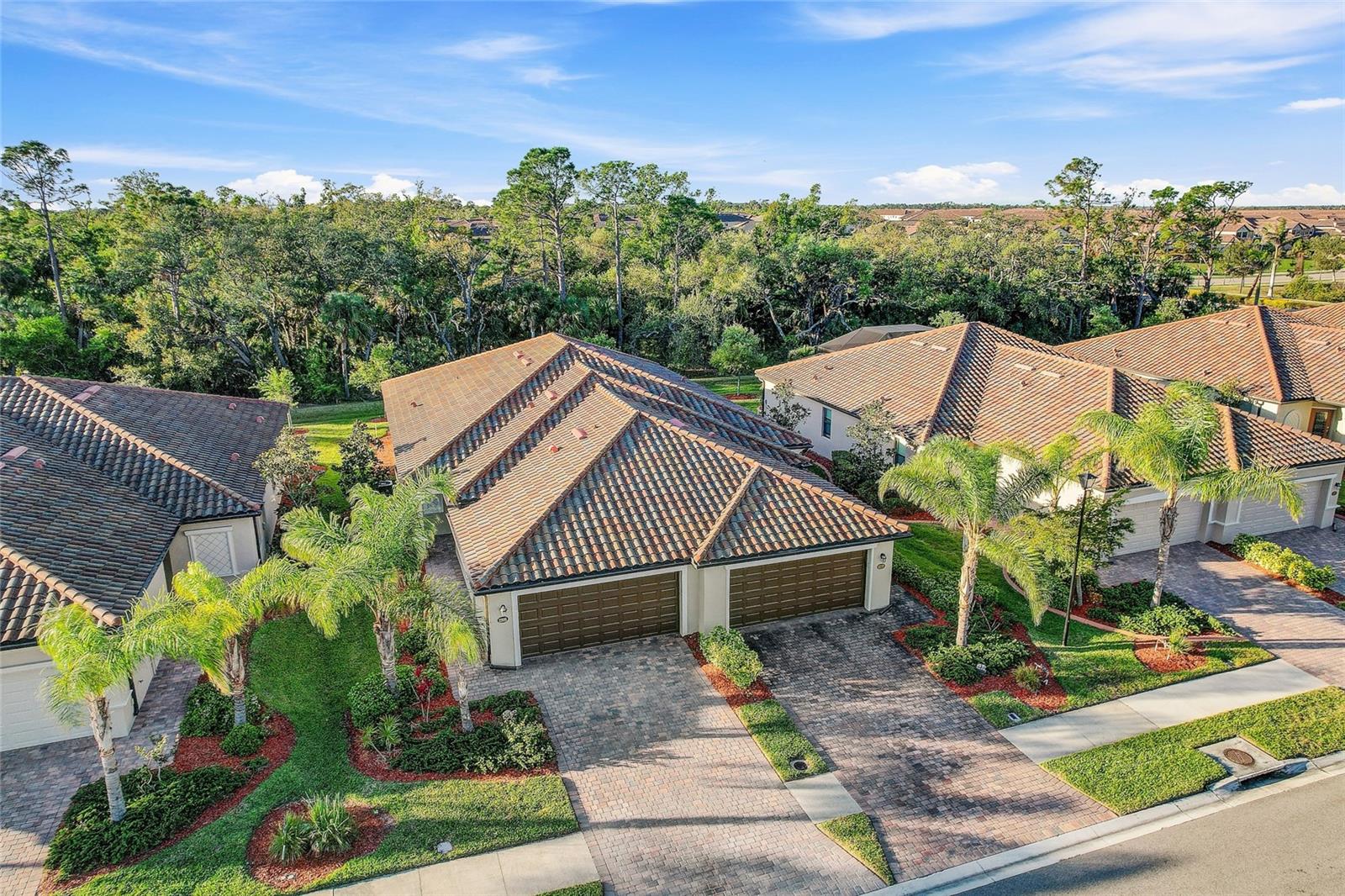 12091 Amica Loop Property Photo 38