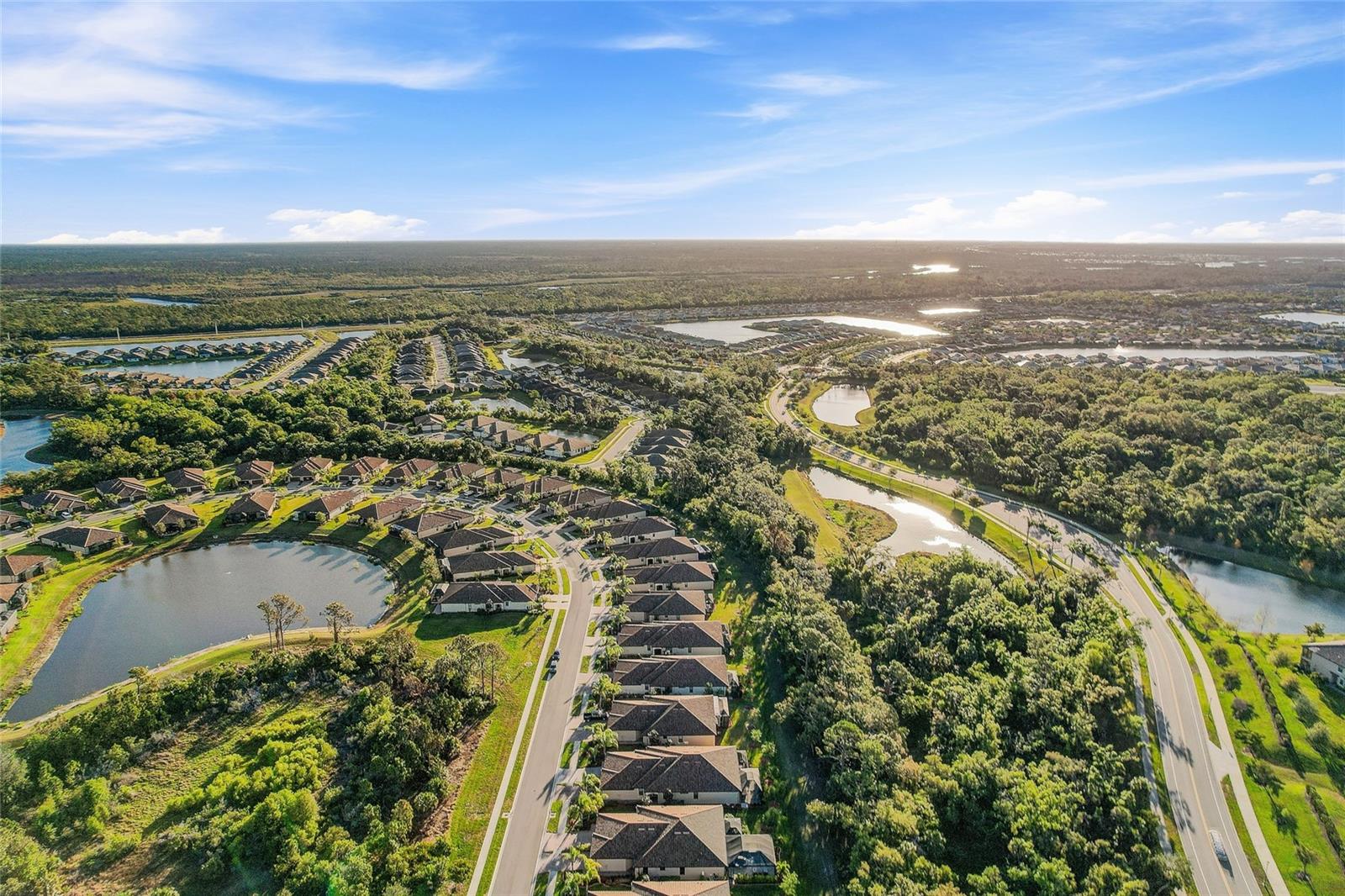 12091 Amica Loop Property Photo 41