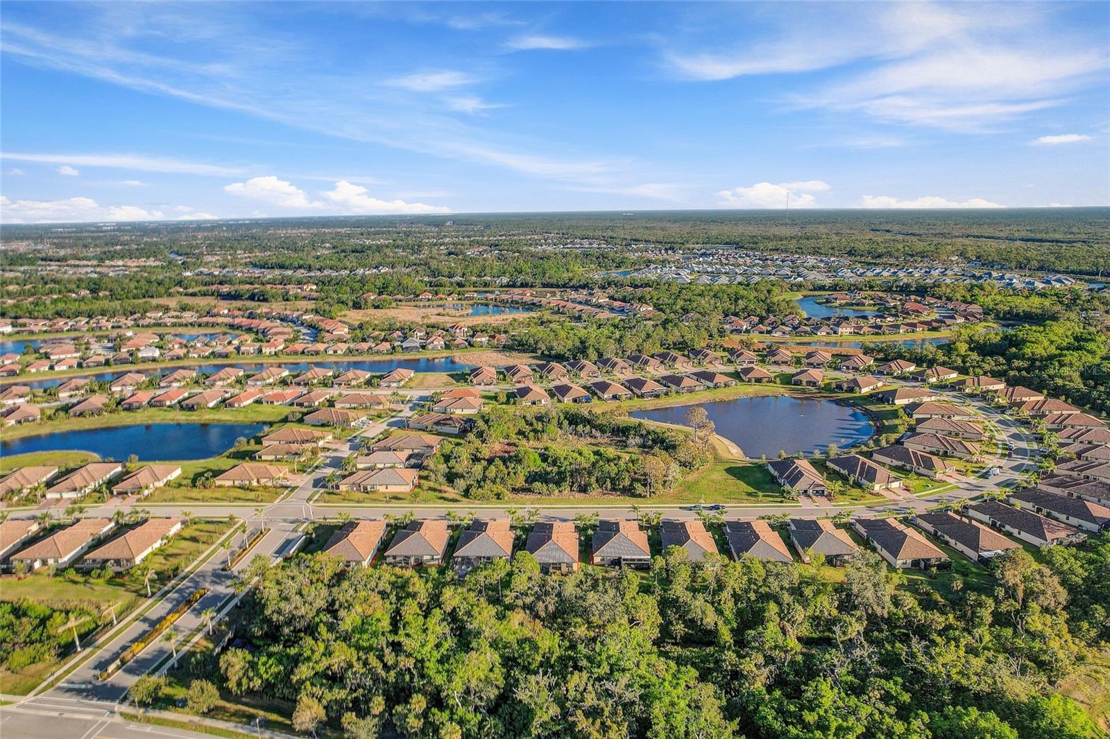 12091 Amica Loop Property Photo 43