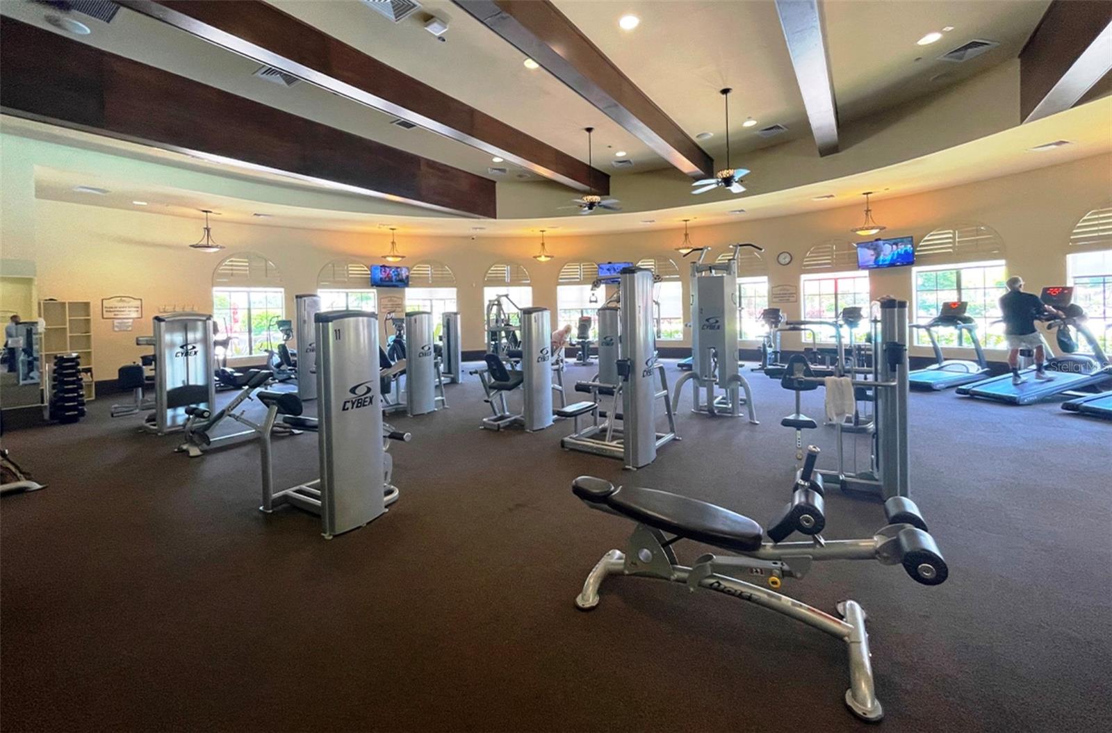 12091 Amica Loop Property Photo 47