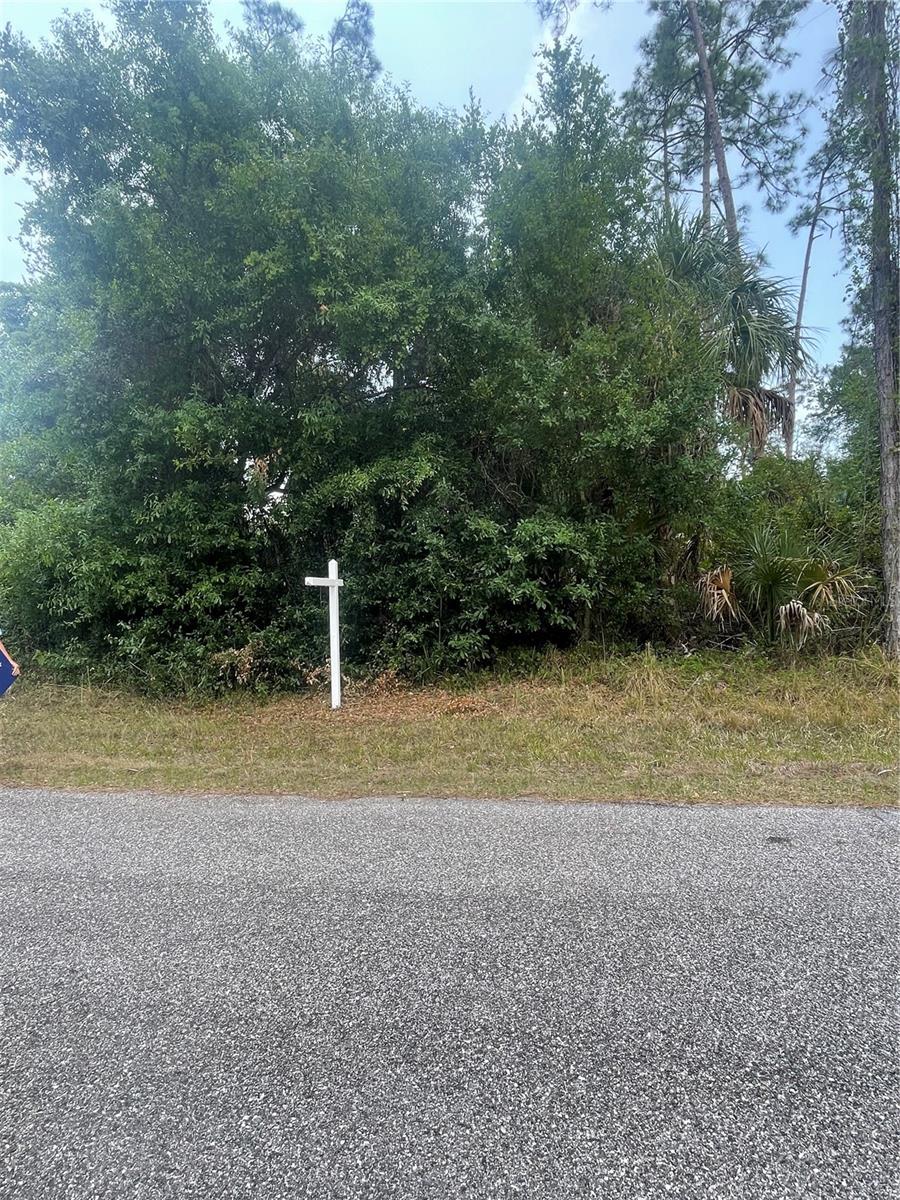 20261 Spangler Ter Property Photo 2