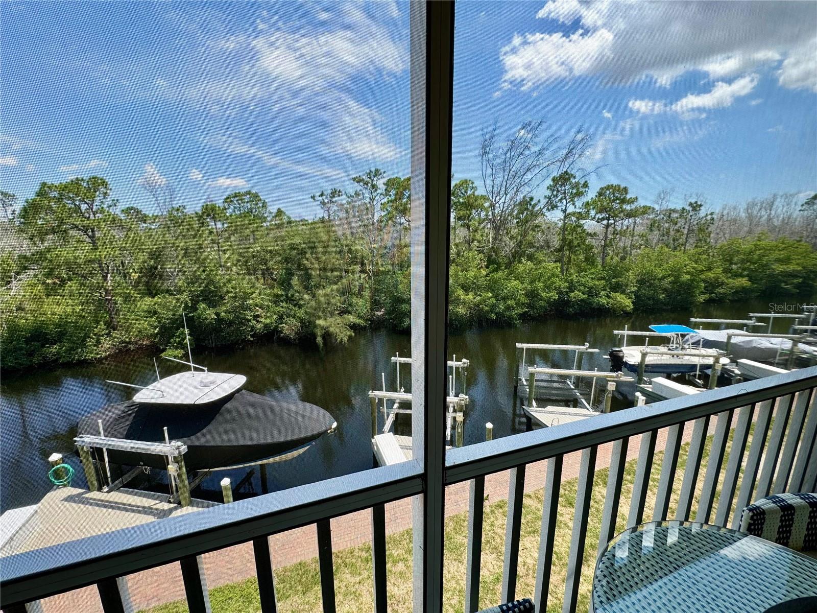 1795 Four Mile Cove Pkwy #833 Property Photo