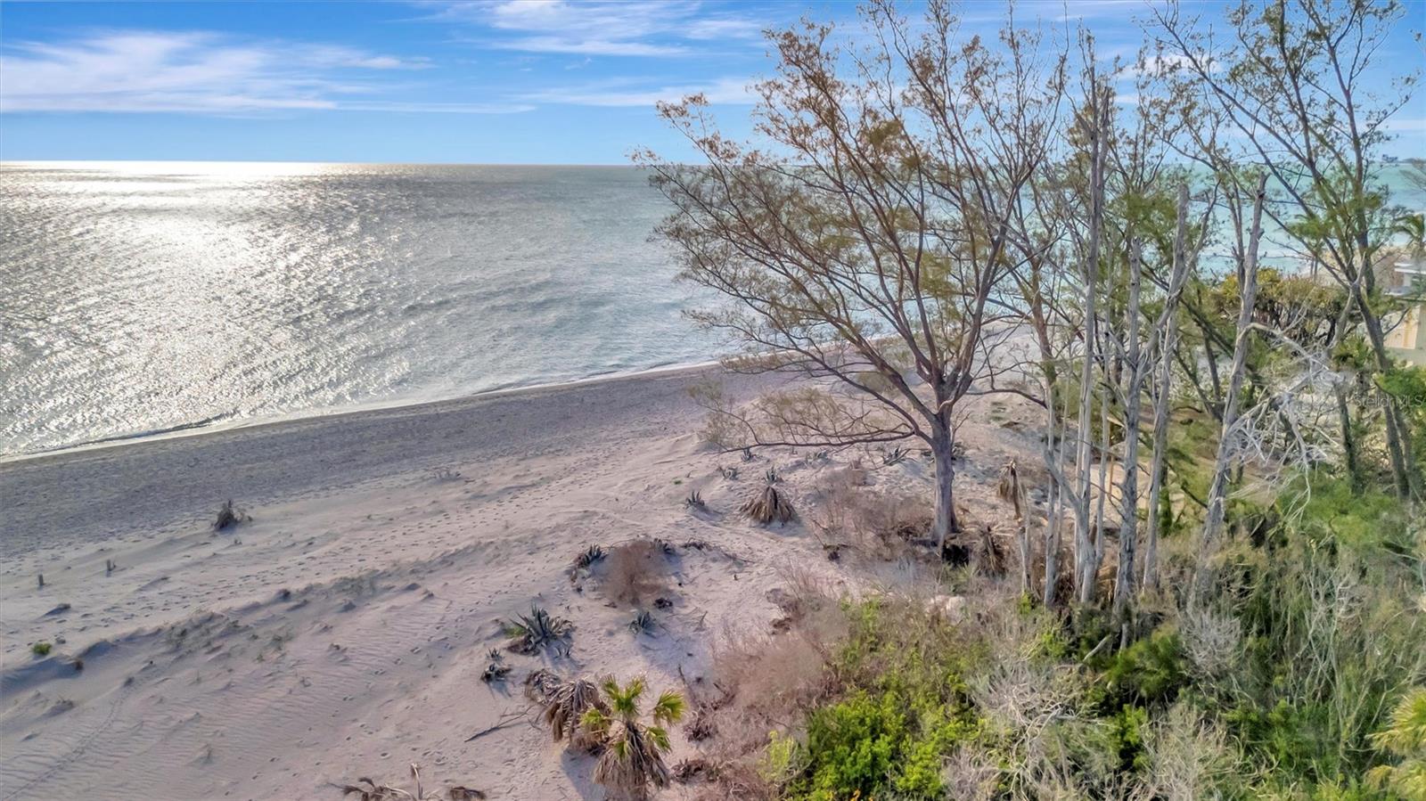 8555 Heron Lagoon Cir Property Photo 6