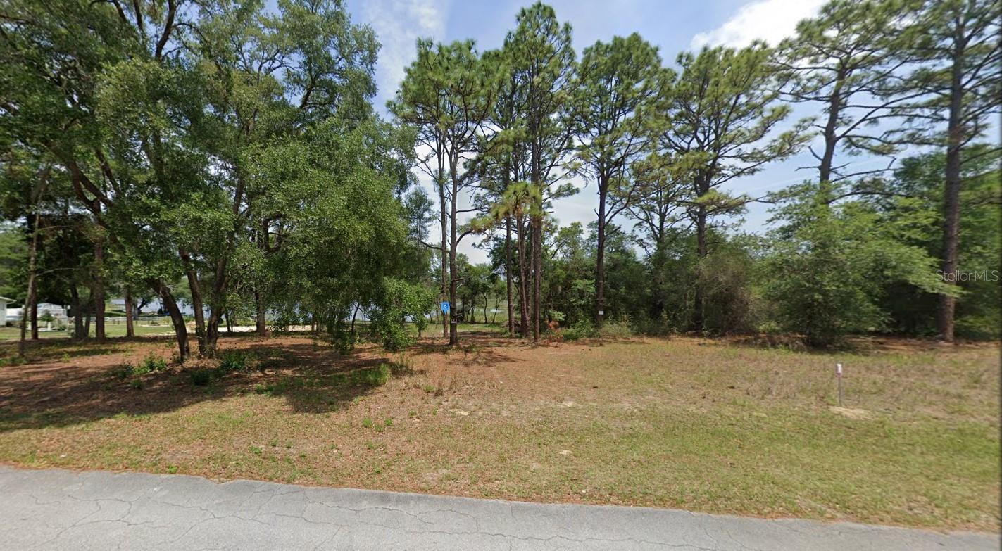2173 W Springlake Dr Property Photo 2
