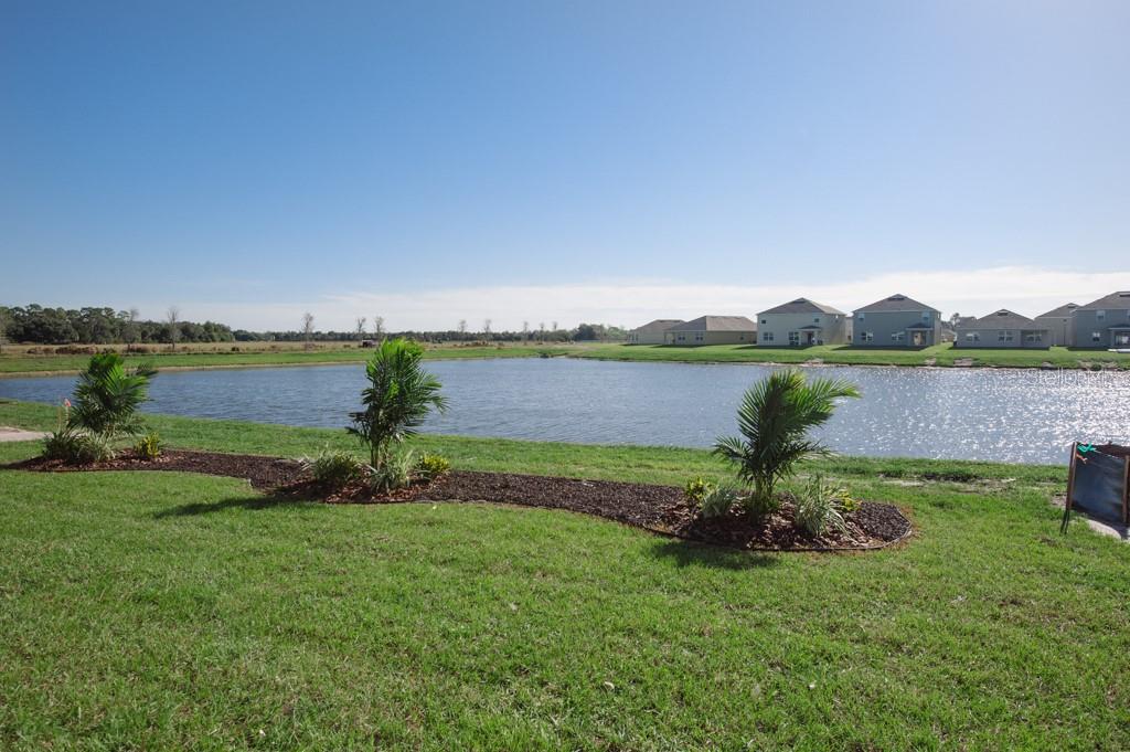 15543 Trinity Fall Way Property Photo 2