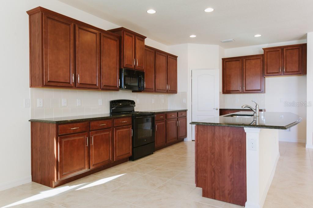 15543 Trinity Fall Way Property Photo 3