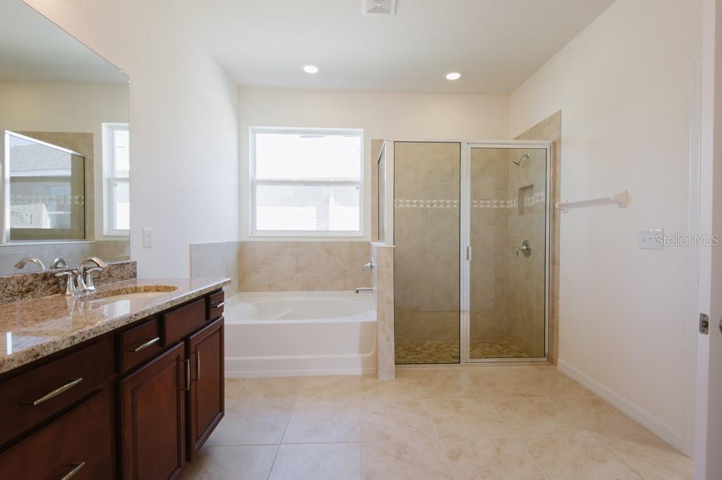 15543 Trinity Fall Way Property Photo 6