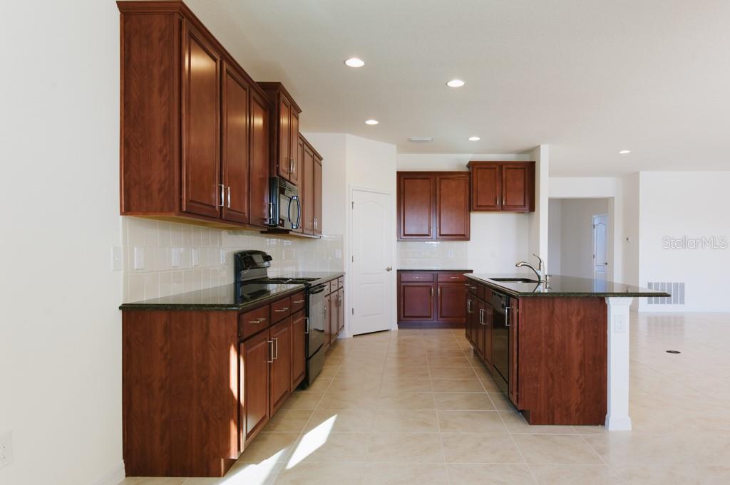 15543 Trinity Fall Way Property Photo 13