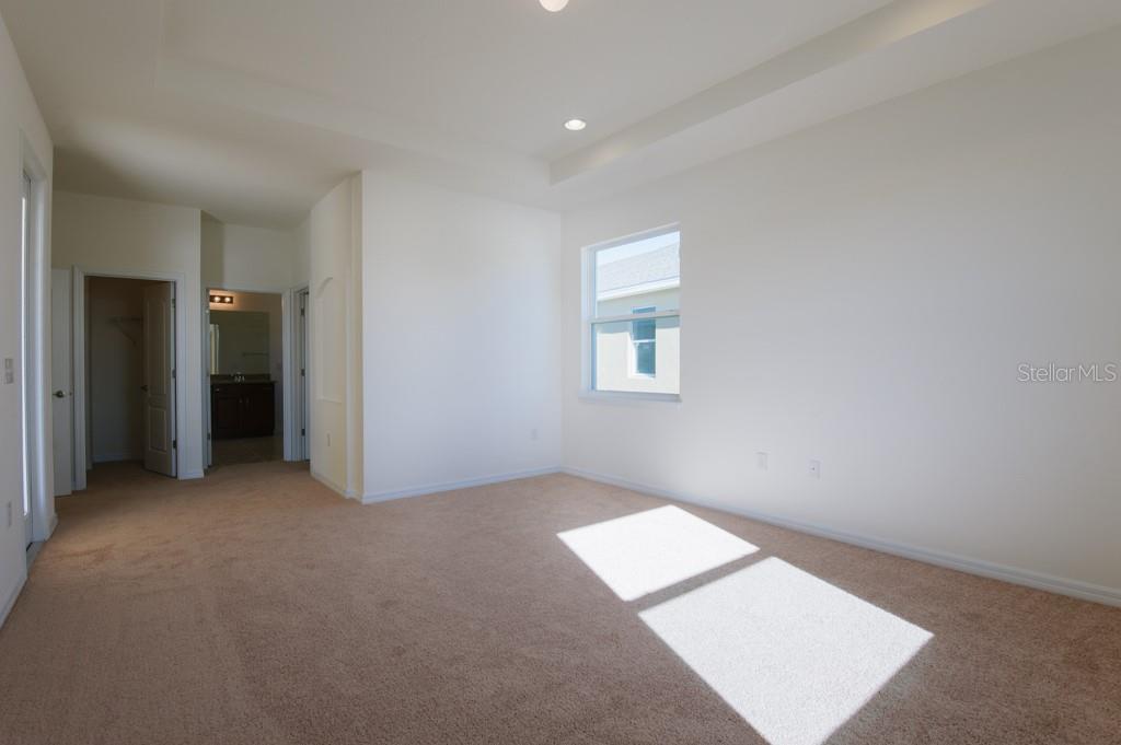 15543 Trinity Fall Way Property Photo 18