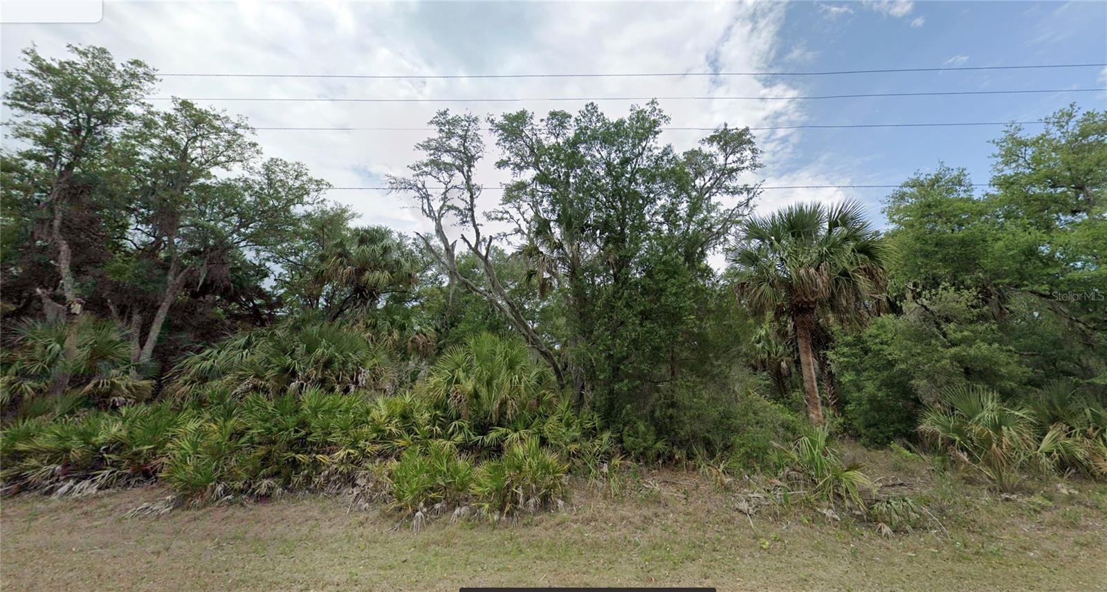 7972 N Basswood Ave Property Photo