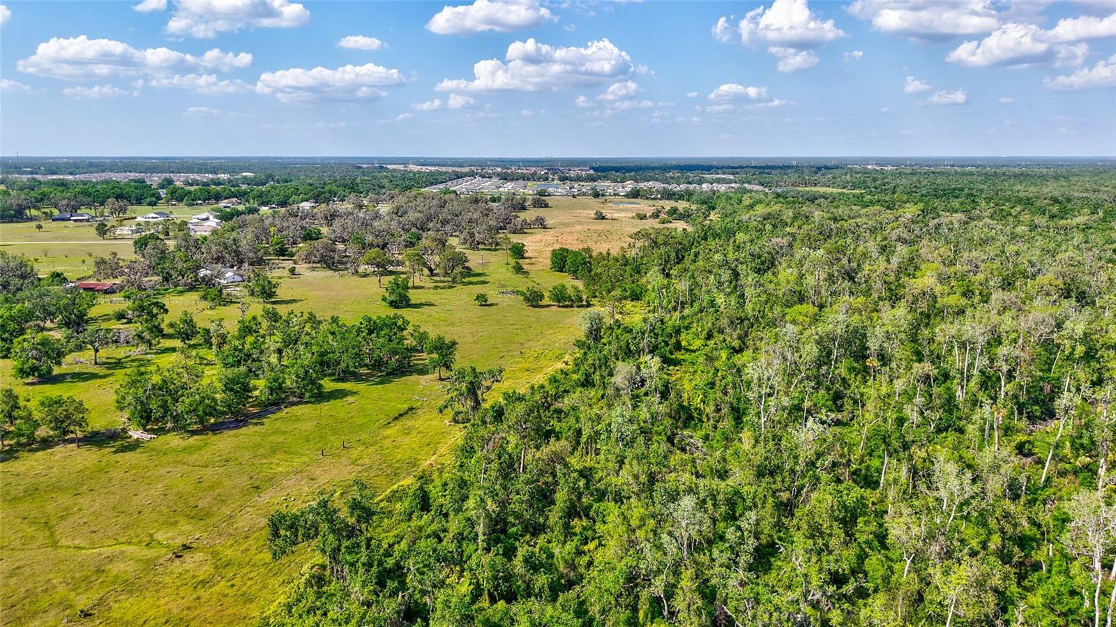 5900 Spencer Parrish Rd Property Photo 15