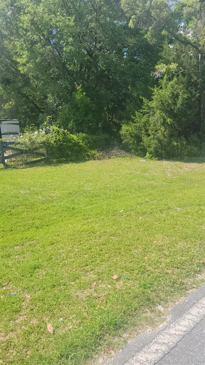 Lot 1 Nw County Rd #345 Property Photo