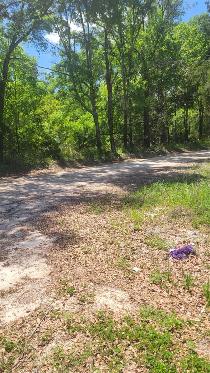 Lot 1 Nw County Rd #345 Property Photo 2