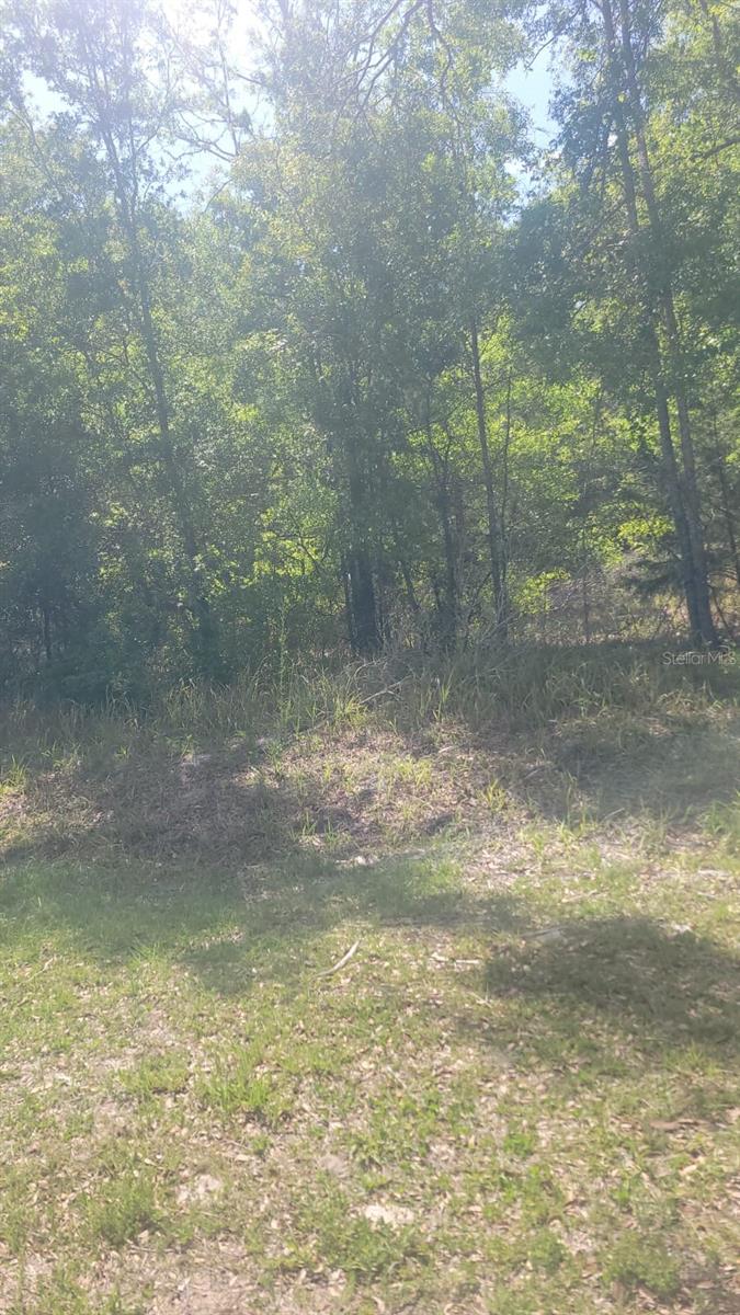 Lot 1 Nw County Rd #345 Property Photo 3