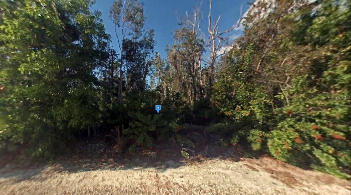7112 Hibiscus Ave Property Photo 2