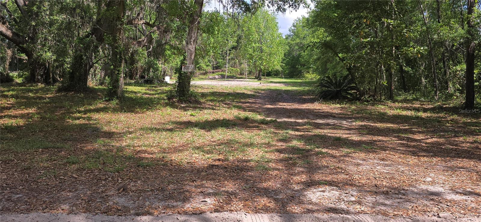 Wellborn Real Estate Listings Main Image