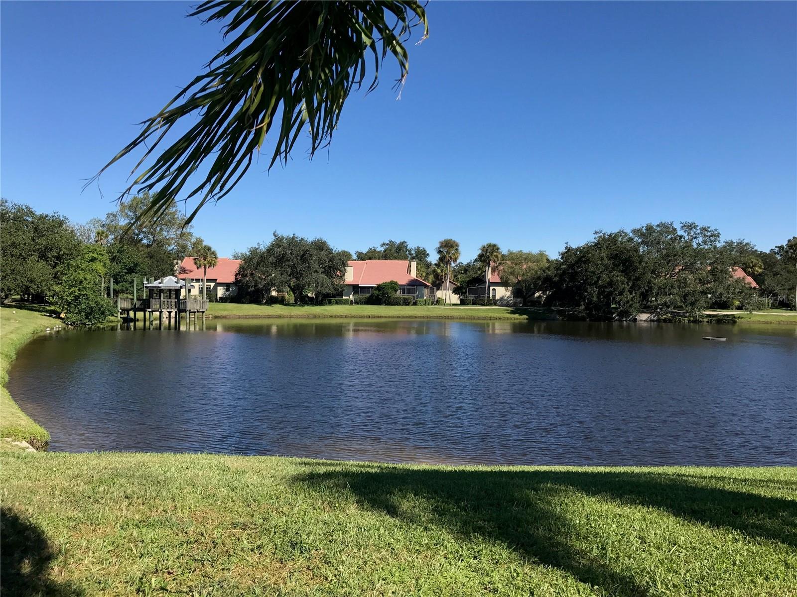 Sarasota High Real Estate Listings Main Image
