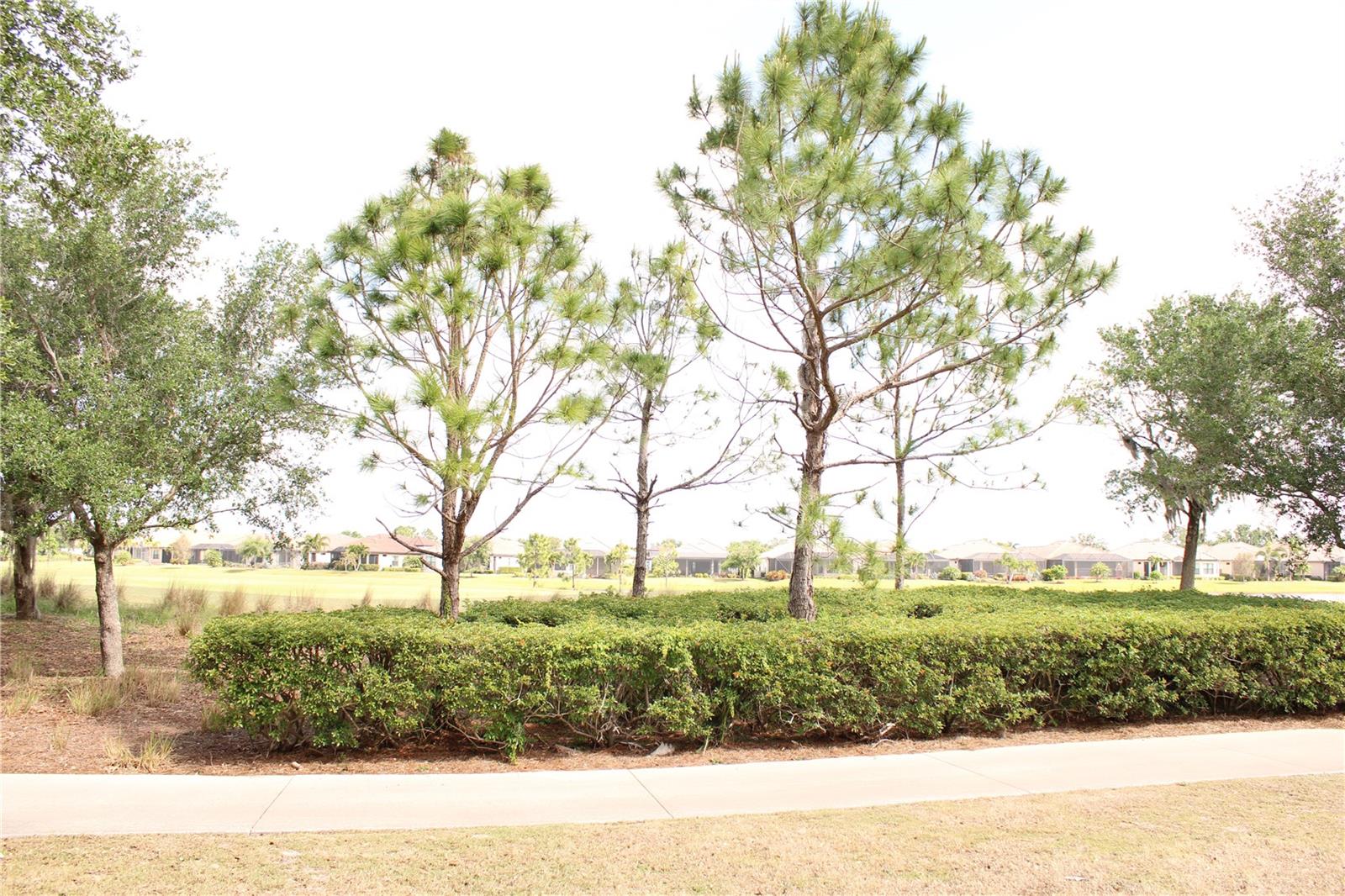 13711 Messina Loop #104 Property Photo 36