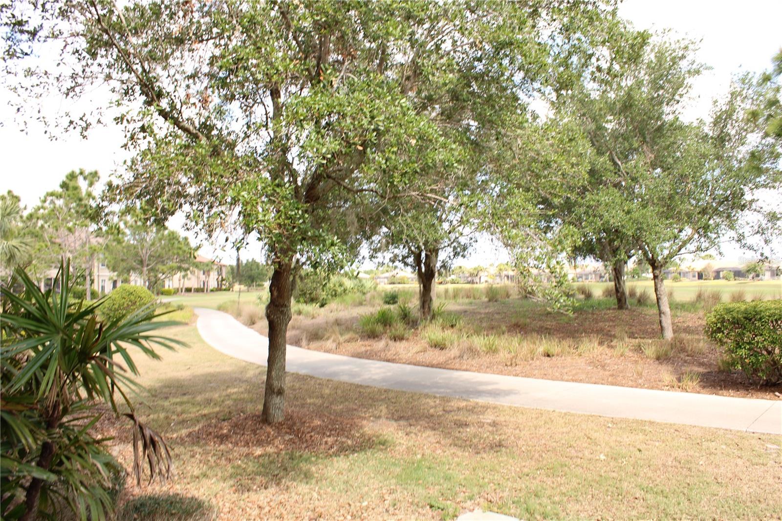 13711 Messina Loop #104 Property Photo 38