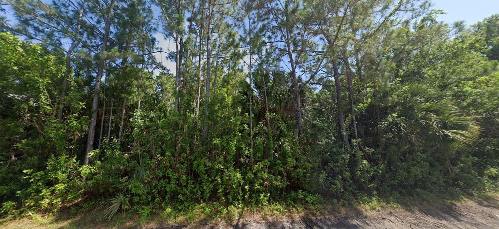 23125 Hammond Ave Property Photo
