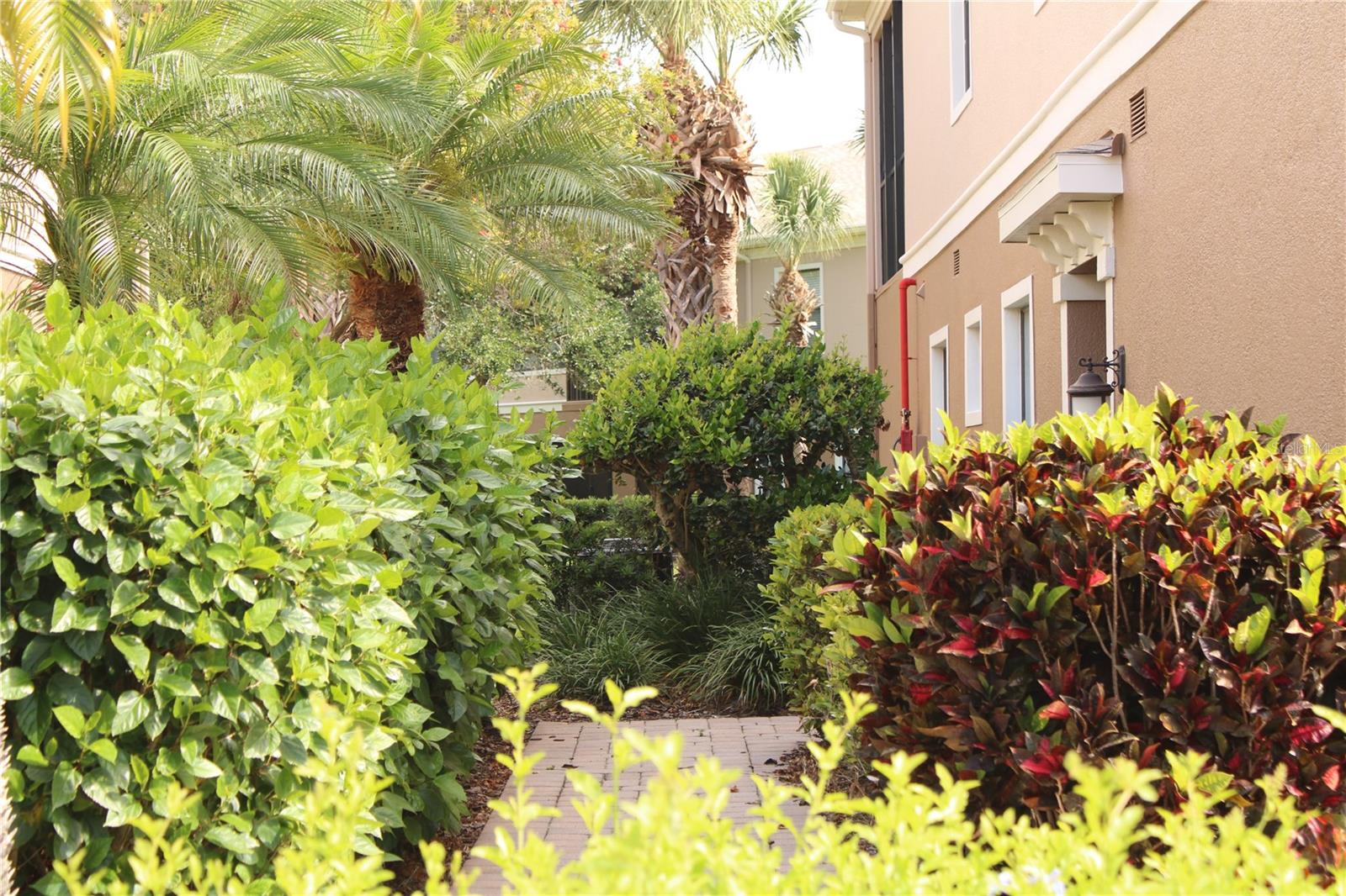 4233 Overture Cir #4233 Property Photo 21