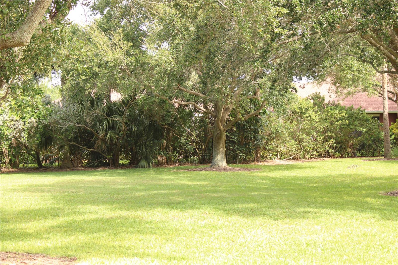 4233 Overture Cir #4233 Property Photo 23