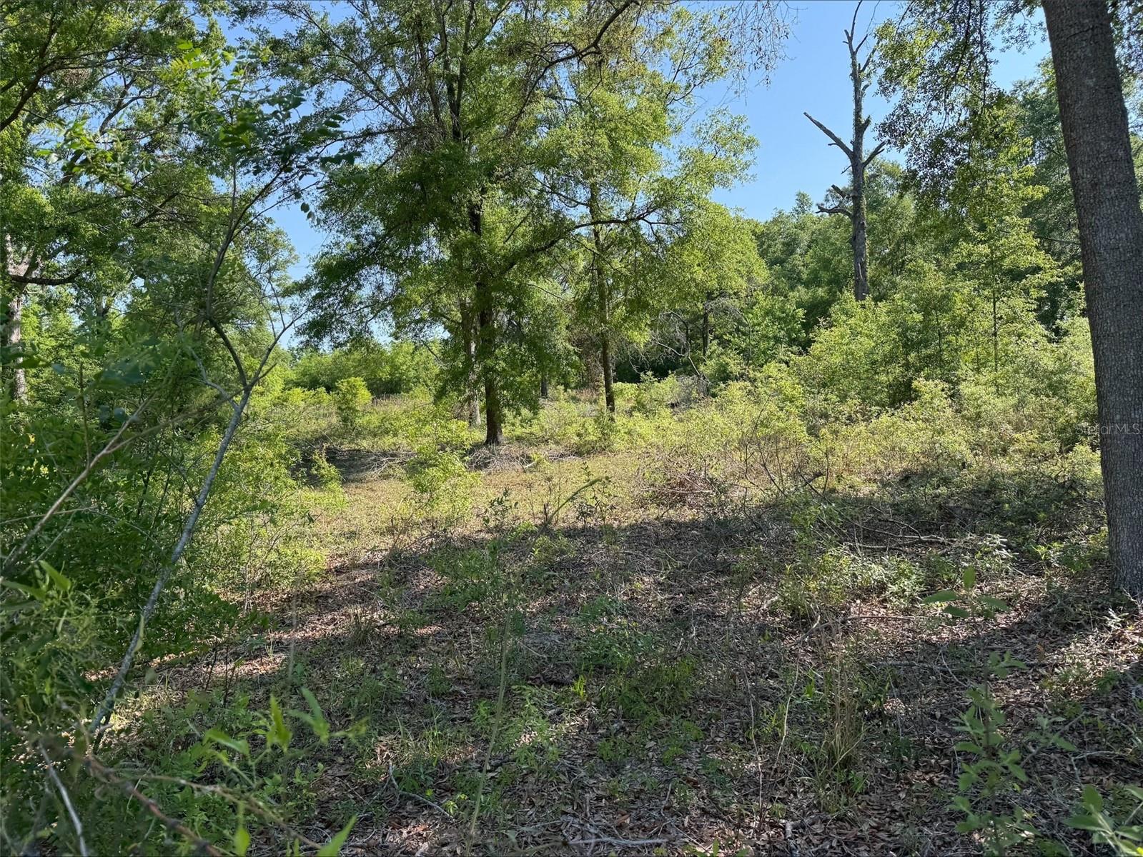 Lot 19 208th St Property Photo