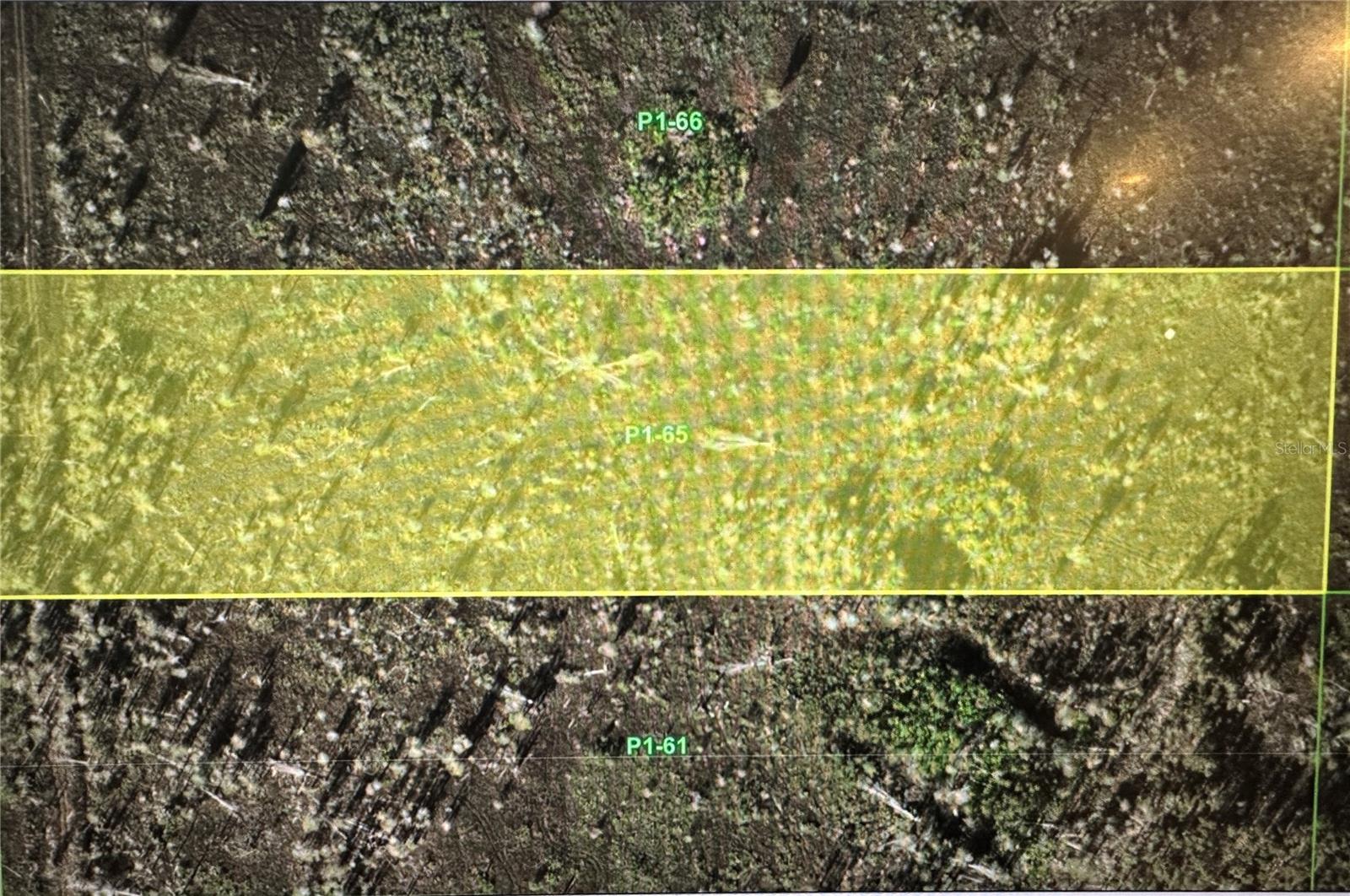 33412 Oil Well Rd Property Photo